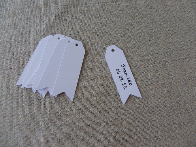 Lot de 10 étiquettes FANION blanc
